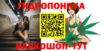 a pvp Камышлов