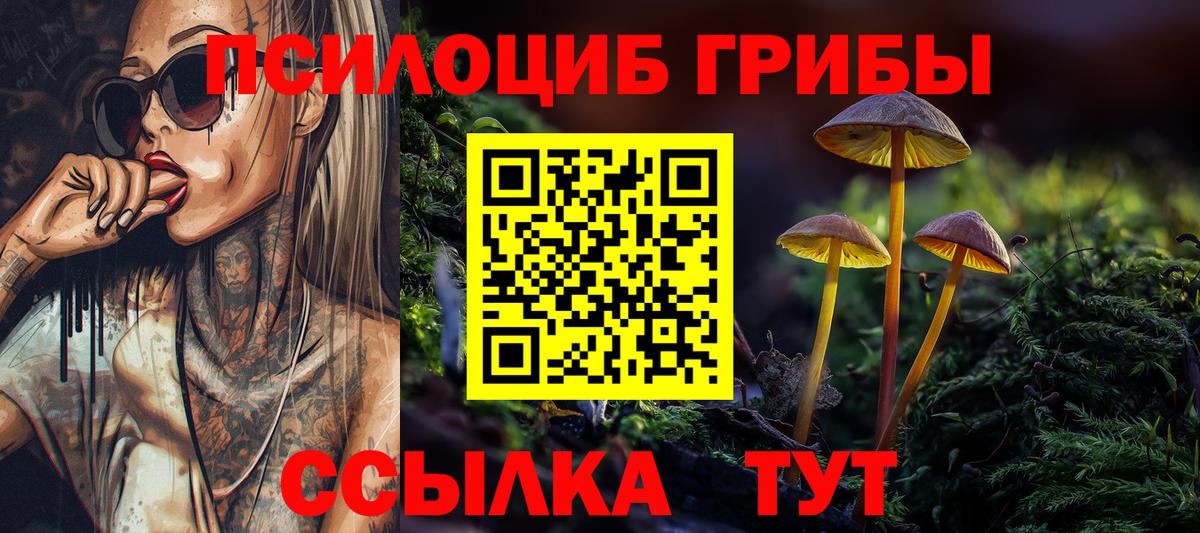 Галлюциногенные грибы мухоморы  купить  цена  Майкоп  Галлюциногенные грибы MAGIC MUSHROOMS  Вход с VPN 