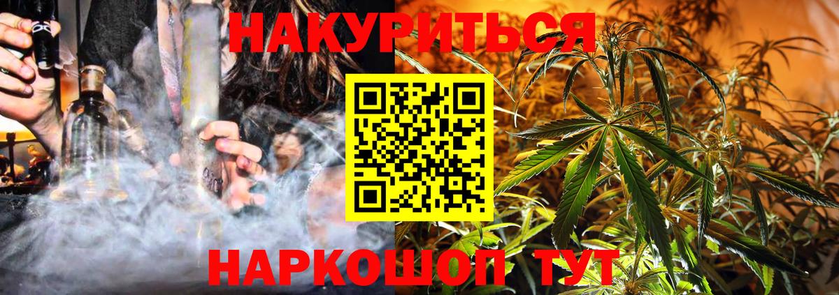 Бошки марихуана сатива Майкоп